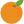 Egygreen Fresh Oranges
