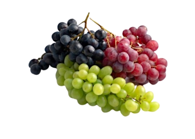 Egygreen Fresh Grapes